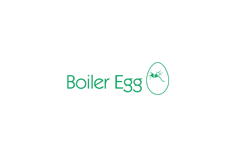 Cortec Boiler Egg